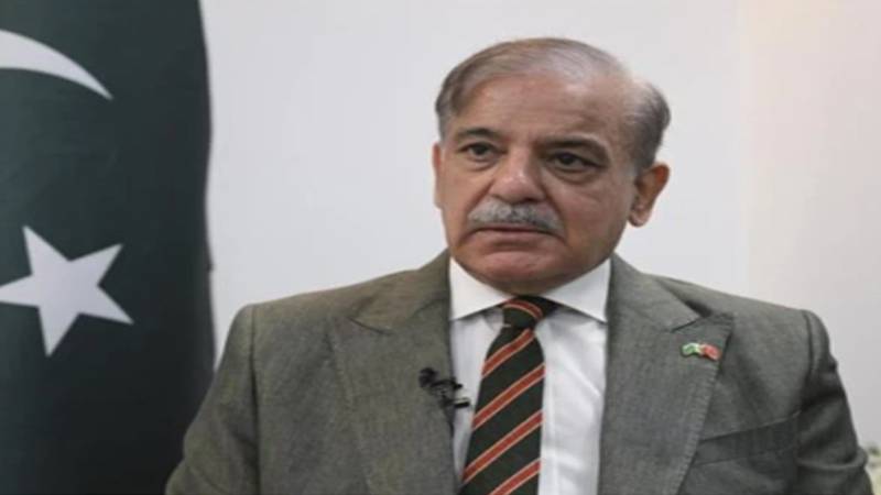 وزیر اعظم پاکستان کا لبنان میں جنگ بندی کا اعلان پر خیرمقدم 