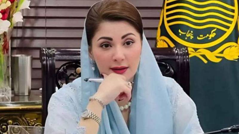 دنیا بدلنے کے لیے وسائل نہیں بڑے خیالات درکار ہوتے ہیں:وزیراعلیٰ پنجاب
