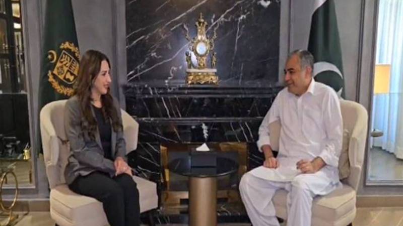 امریکی سفیر نیٹلی بیکر اور وزیرداخلہ محسن نقوی کی ملاقات، خطے کی صورتحال پر تبادلہ خیال