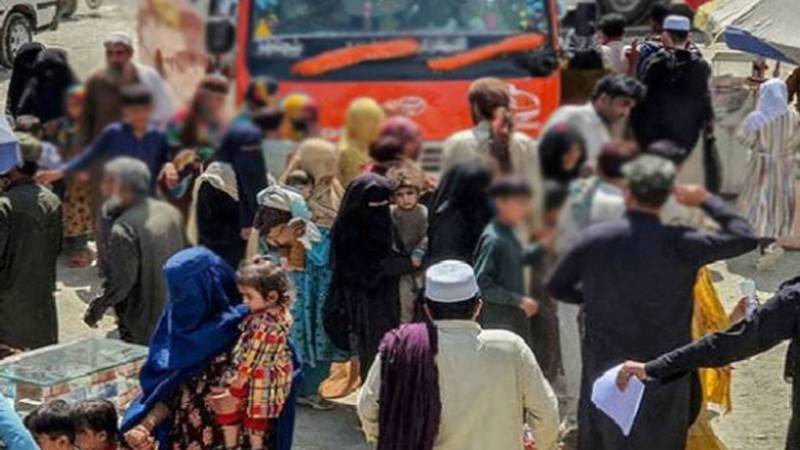 پنجاب میں غیر قانونی غیر ملکیوں کا انخلا تیزی سے جاری، 34,545 کو ملک بدر کیا گیا 