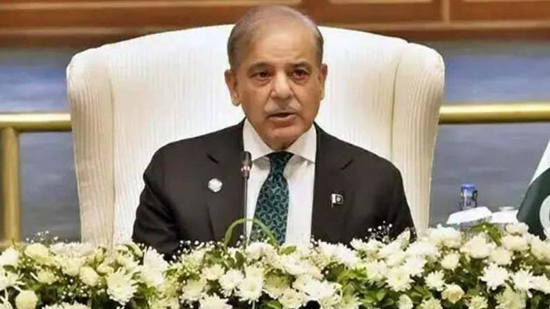 بجٹ میں ہم بڑی چیزیں لے کر آئیں گے,وزیرِ اعظم شہباز شریف
