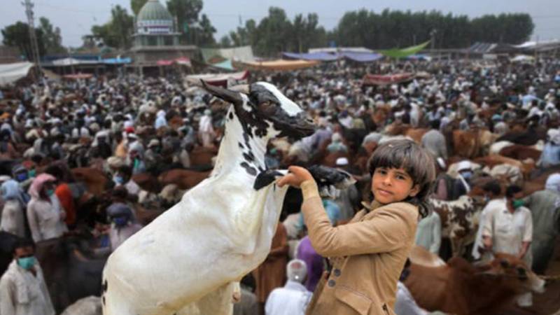 عید الاضحیٰ 2026: ممکنہ چھٹیوں کا دورانیہ اور حتمی شیڈول کا انحصار چاند کی نظر پر 