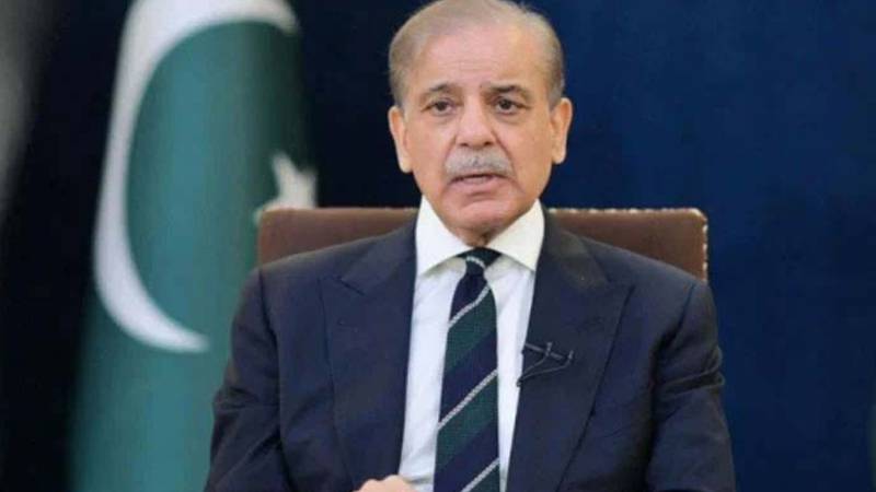 یو اے ای پر میزائل و ڈرون حملوں کی مذمت، پاکستان کی مکمل یکجہتی: وزیراعظم شہباز شریف