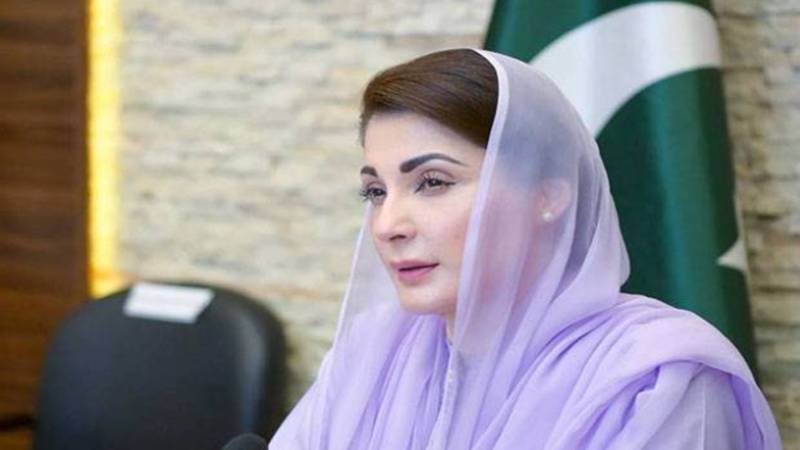 مریم نواز کی ارکانِ اسمبلی سے ملاقات میں پنجاب کی ترقی کا نیا دور شروع ہونے کا اعلان 