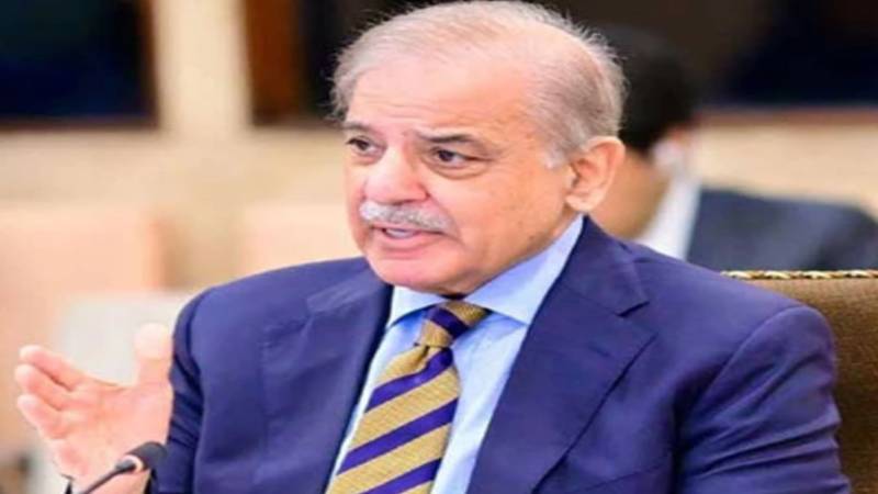 پاکستان کی درخواست پر “پروجیکٹ فریڈم” روکنے کے اعلان پر ٹرمپ کا شکر گزار ہوں، وزیر اعظم