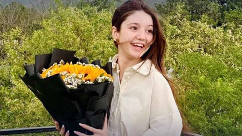 ٹک ٹاکر ثناء یوسف قتل کیس: گواہان کے بیانات پر جرح کا عمل مکمل 
