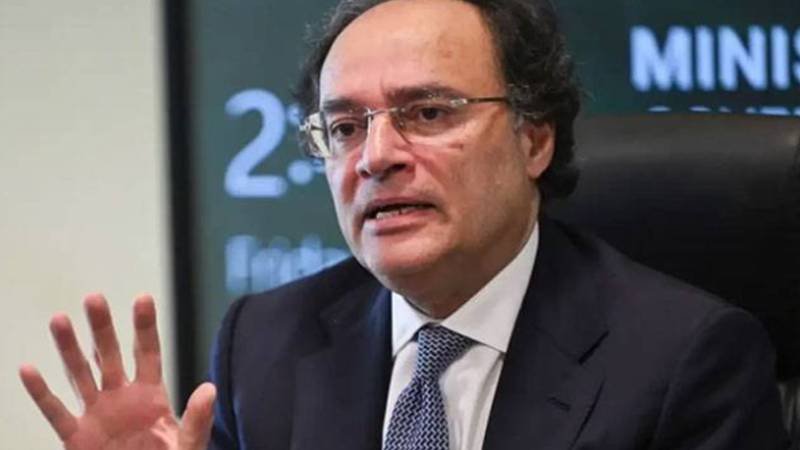 پٹرولیم مصنوعات کی قیمتوں میں اضافے یا کمی ?وفاقی وزیرِ خزانہ کا بیان