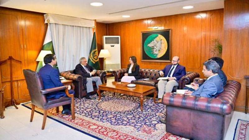  امریکی ناظم الامور نیٹیلی بیکر کی اسحاق ڈار سے ملاقات، پاک امریکا تعلقات اور علاقائی صورتحال پر گفتگو