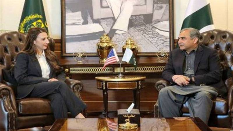 محسن نقوی کی امریکی نائب وزیر خارجہ سے ملاقات، تعلقات مزید مضبوط بنانے پر اتفاق