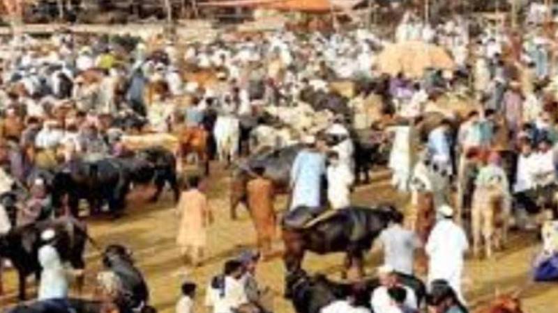 عیدالاضحیٰ: پنجاب بھر کی مویشی منڈیوں میں سکیورٹی سخت