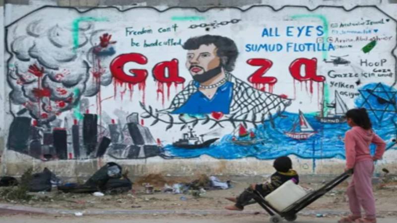 غزہ امدادی فلوٹیلا پر اسرائیلی کارروائی، 87 کارکن بھوک ہڑتال پر بیٹھ گئے