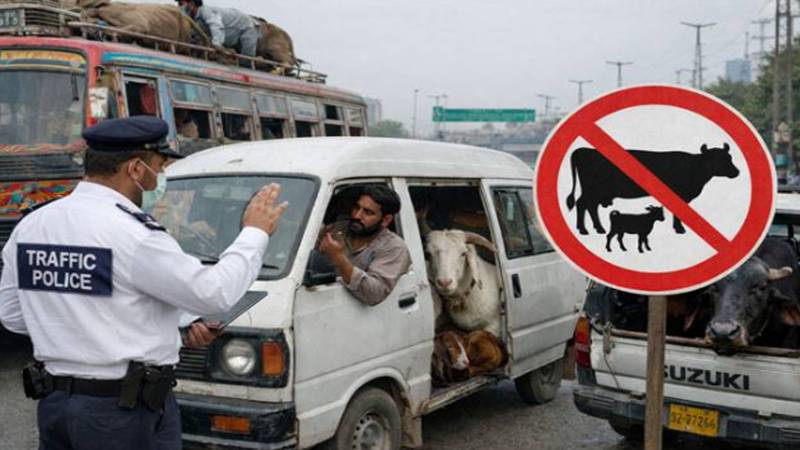 بسوں اور ویگنوں میں قربانی کے جانوروں کی ترسیل پر سخت پابندی، ڈی آئی جی ٹریفک کی ہدایت