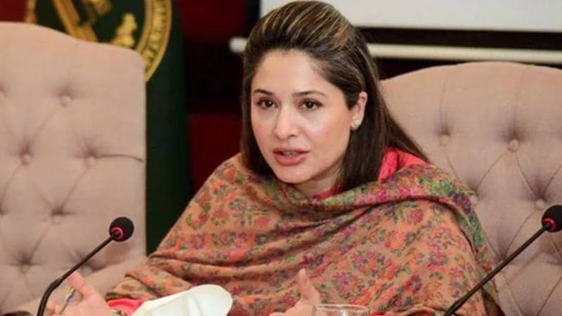 سہیل آفریدی کیخلاف پروپیگنڈا کیا گیا، منشیات فروش تک کہا گیا: شاندانہ گلزار
