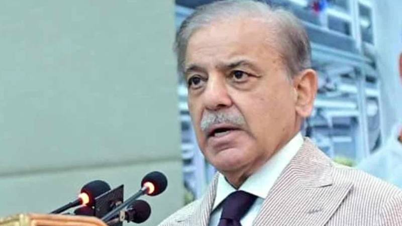 امن کی کوششوں کی حمایت پر چینی قیادت کا مشکور ہوں: وزیرِ اعظم شہباز شریف