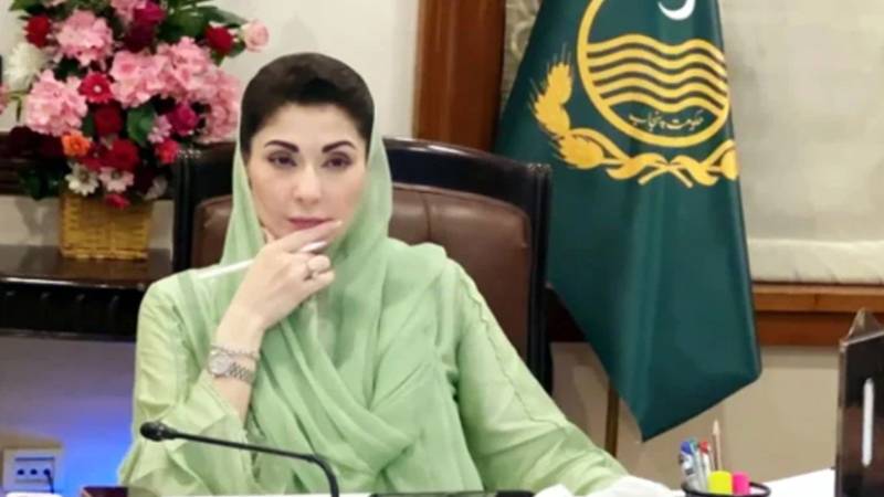 پنجاب میں کسان کارڈ کے ذریعے کاشتکاروں کو مالی خودمختاری، آڑھتی کلچر کے خاتمے کا دعویٰ: مریم نواز