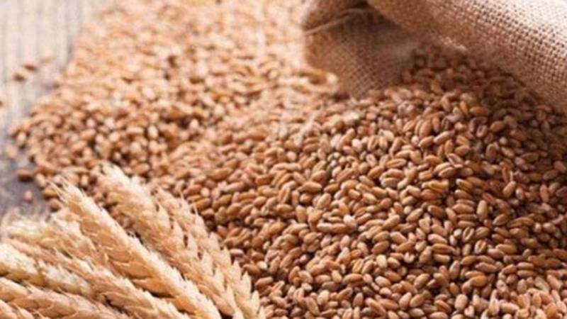 پنجاب حکومت کا بڑا فیصلہ: گندم مارکیٹ میں اہم پیش رفت
