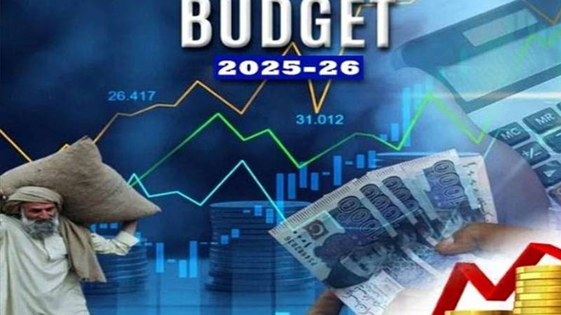 خیبرپختونخوا کا 2170 ارب روپے کا بجٹ پیش، ترقیاتی منصوبوں کے لیے 524 ارب مختص