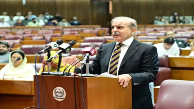 2018 کے الیکشن نتائج پر بننے والی پی ٹی آئی حکومت جائز حکومت تھی تو یہ بھی جائز ہے، وزیر اعظم شہباز شریف