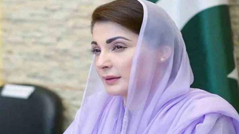 مریم نواز سے ارکانِ پنجاب اسمبلی کی ملاقات، ترقیاتی منصوبوں اور عوامی مسائل پر تبادلۂ خیال