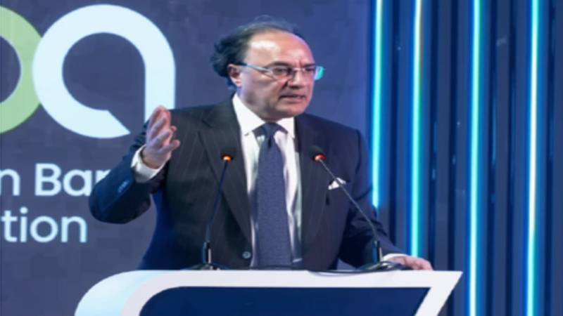 حکومت مزید 28 ریاستی اداروں کی نجکاری کے حوالے سے متحرک ہے،محمد اورنگزیب 