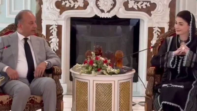 مون سون اور سیلاب سے نمٹنے کیلئے وفاق، پنجاب کا مشترکہ لائحہ عمل تیار