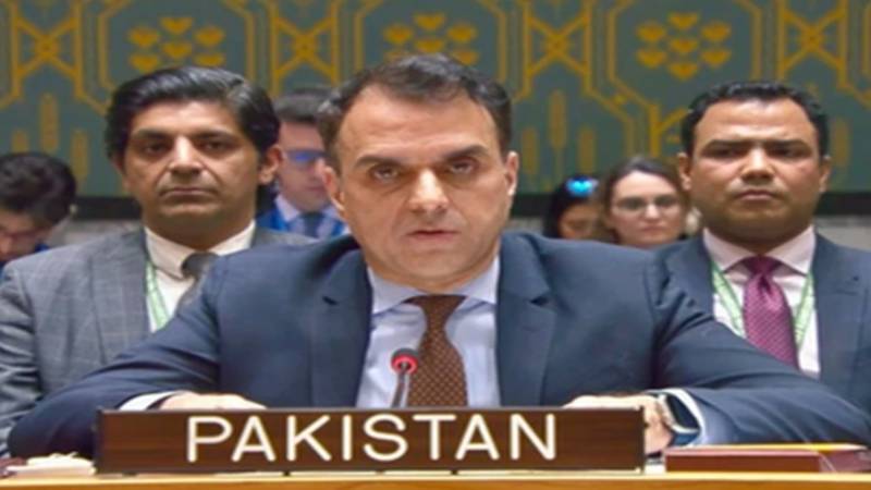 سلامتی کونسل میں پاکستان کا دوٹوک مؤقف، سعودی عرب پر حوثی حملوں کی شدید مذمت
