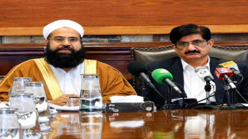 شہدا کی توہین ناقابل برداشت، پاک فوج اور اہل خانہ سے معذرت کرتا ہوں: طاہر اشرفی