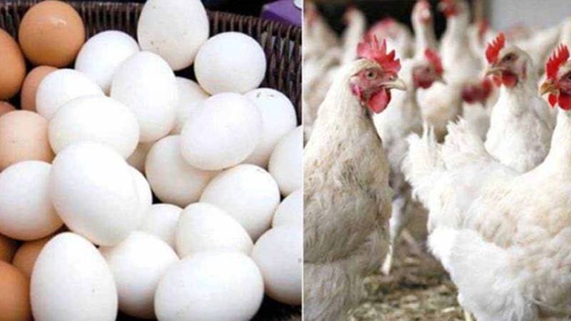 مرغی کے گوشت اور انڈوں کی قیمتوں میں پھر اضافہ، سرکاری نرخ جاری