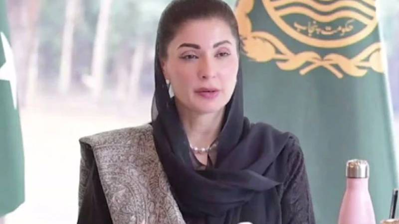 نایاب نسل کی ڈولفن کے تحفظ کے اقدامات پر وزیرِ اعلیٰ پنجاب مریم نواز کو ورلڈ وائلڈ لائف فنڈ امریکا کا خراجِ تحسین