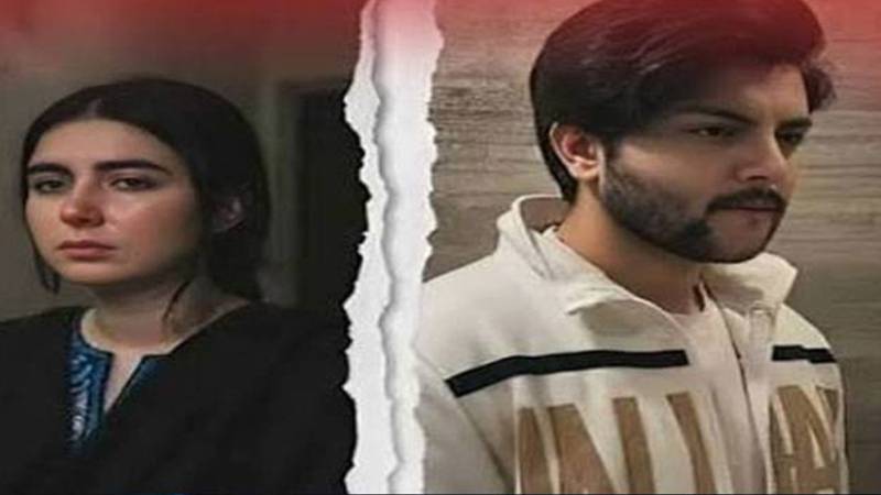 علی حیدر آبادی نے اہلیہ کی میڈیکل رپورٹ چیلنج کر دی