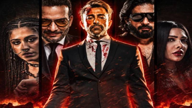 سینیٹ کمیٹی کی فلم ’بلّہ‘ کی نمائش عارضی طور پر روکنے اور نام تبدیل کرنے کی سفارش