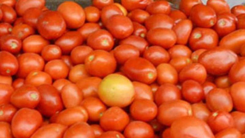 ٹماٹر کی قیمت میں آگ، فی کلو نرخ 400 روپے تک جا پہنچا