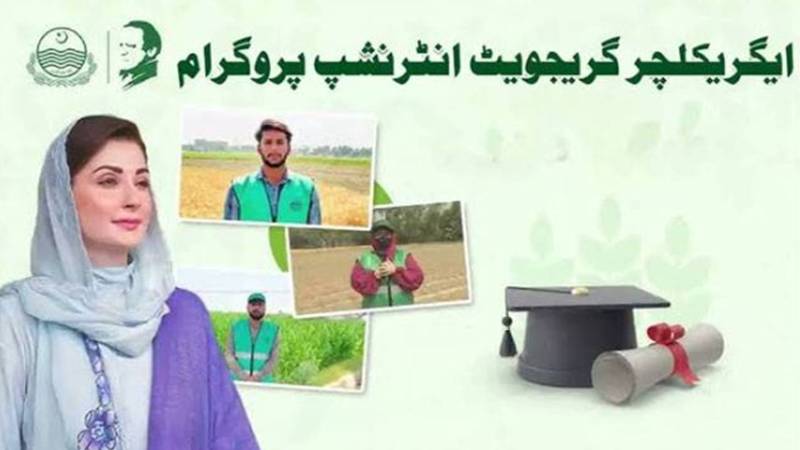 نوجوانوں کے لیے خوشخبری، حکومت نے شرمپ ایکواکلچر انٹرن شپ پروگرام شروع کر دیا