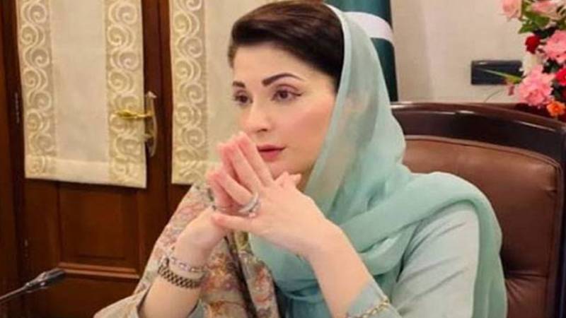 ہیپاٹائٹس کے خاتمے کے لیے سب کو مل کر کردار ادا کرنا ہوگا، وزیراعلیٰ پنجاب مریم نواز