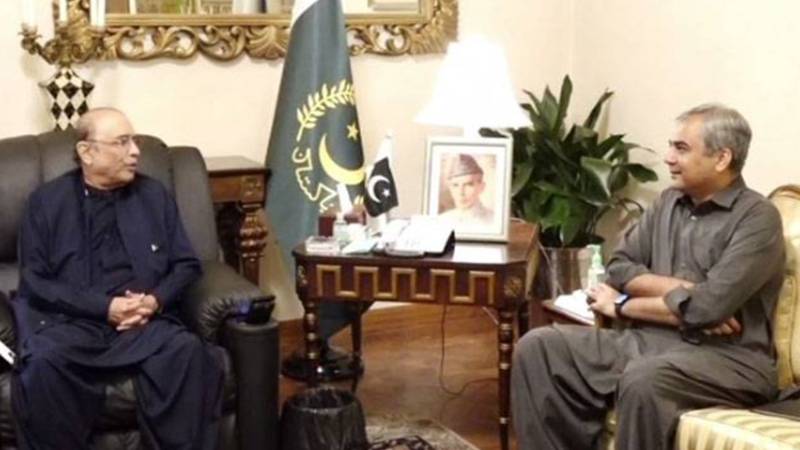 صدر آصف علی زرداری سے محسن نقوی کی ملاقات، امن و امان اور دہشت گردی کے خلاف اقدامات پر تبادلۂ خیال