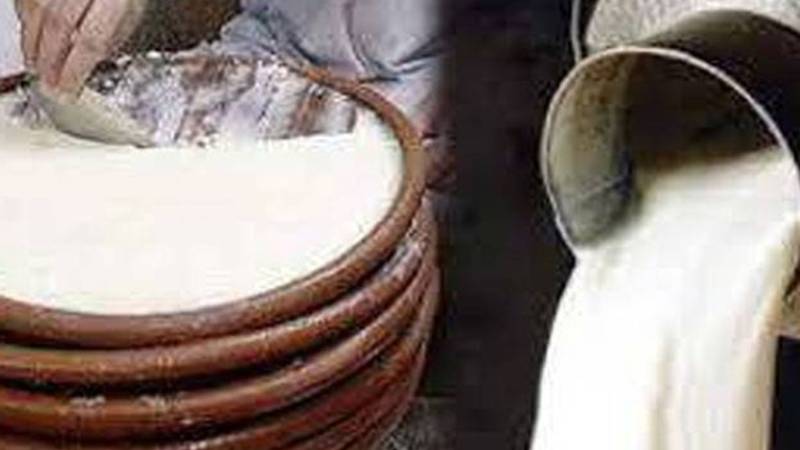سرکاری نرخنامہ نظرانداز، شہر میں دودھ اور دہی مہنگے داموں فروخت