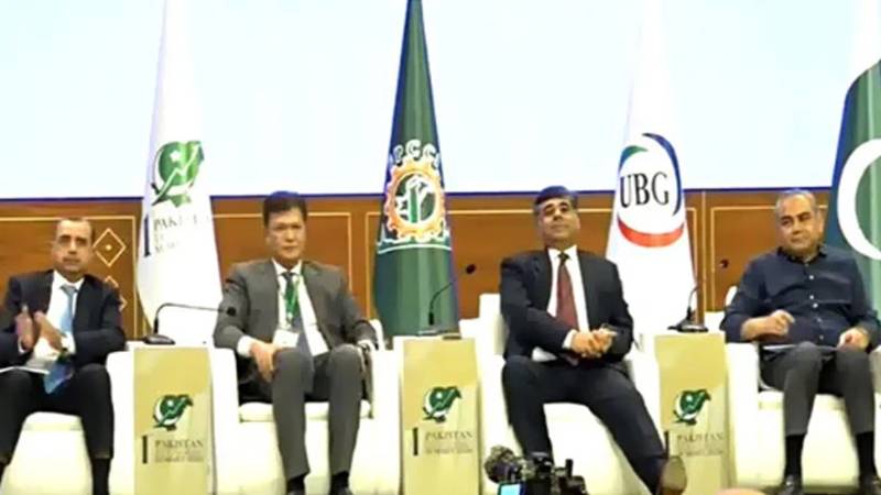 پاکستان کی تاریخی پہلی اکنامک سمٹ، معاشی ترقی کے لیے ادارہ جاتی اصلاحات ضروری قرار