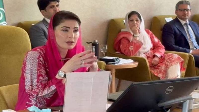 امریکی سرمایہ کاروں کی دلچسپی پنجاب پر اعتماد کا اظہار ہے، مریم نواز