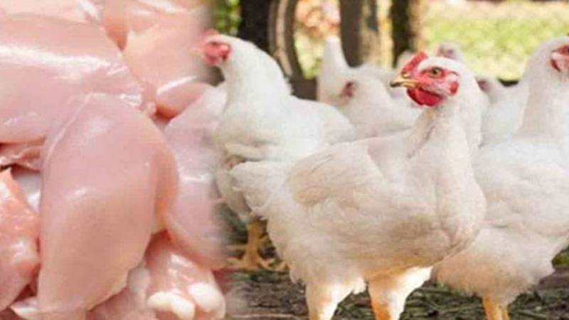 برائلر گوشت مزید مہنگا، فی کلو قیمت میں 10 روپے کا اضافہ