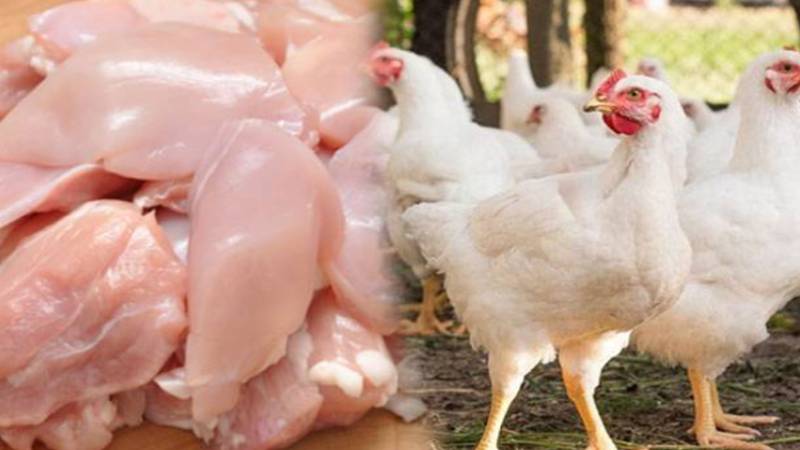 برائلر گوشت کی قیمت میں بڑا اضافہ