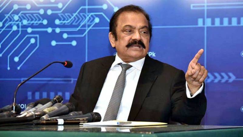 پیپلز پارٹی کے وفاقی شراکت دار بننے پر رانا ثنا اللہ کا دلچسپ ردعمل