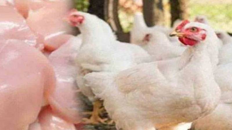 برائلر گوشت کی قیمت میں 26 روپے فی کلو اضافے کا اعلان