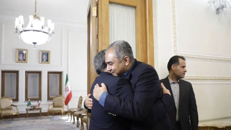 وفاقی وزیر داخلہ محسن نقوی ایران پہنچ گئے، اعلیٰ حکام سے ملاقاتیں متوقع