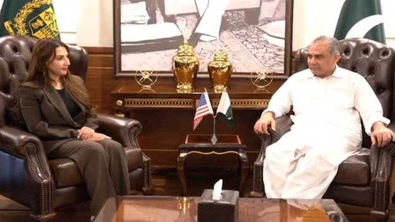 وفاقی وزیر داخلہ محسن نقوی اور امریکی سفیر نیٹلی بیکر کے مابین ملاقات، دوطرفہ تعاون کے امکانات پر تبادلہ خیال