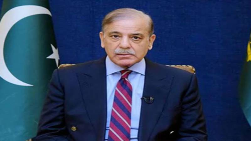 دانش یونیورسٹی کا نظام روایتی جامعات سے مختلف اور بہترین ہونا چاہیے: وزیراعظم شہباز شریف