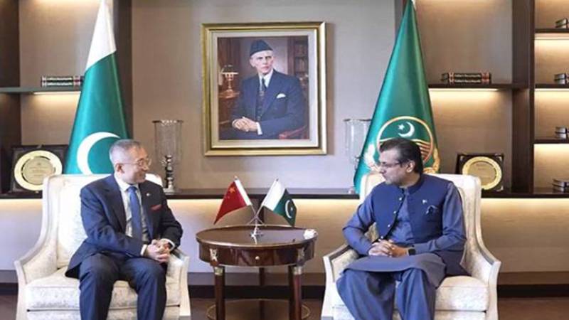 چینی قونصل جنرل کی مشیر وزیراعلیٰ پنجاب برائے اے آئی علی ڈار سے ملاقات