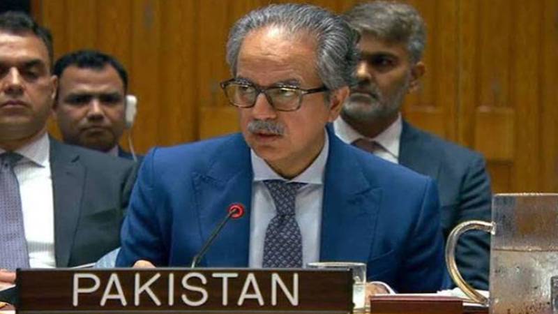حوثی حملوں کی مذمت، پاکستان کا سعودی عرب کی خودمختاری اور سلامتی کی حمایت کا اعادہ