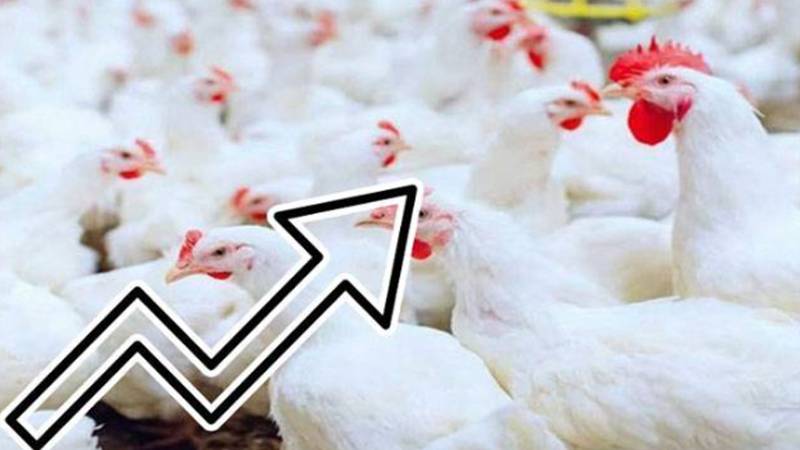 مرغی کا گوشت سرکاری نرخ سے مہنگا فروخت ہونے لگا