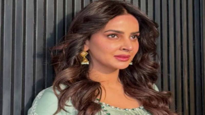 ’ساتھی اداکار سے محبت ہو گئی تھی مگر معاملہ آگے نہیں بڑھ پایا‘، صبا قمر کا انکشاف