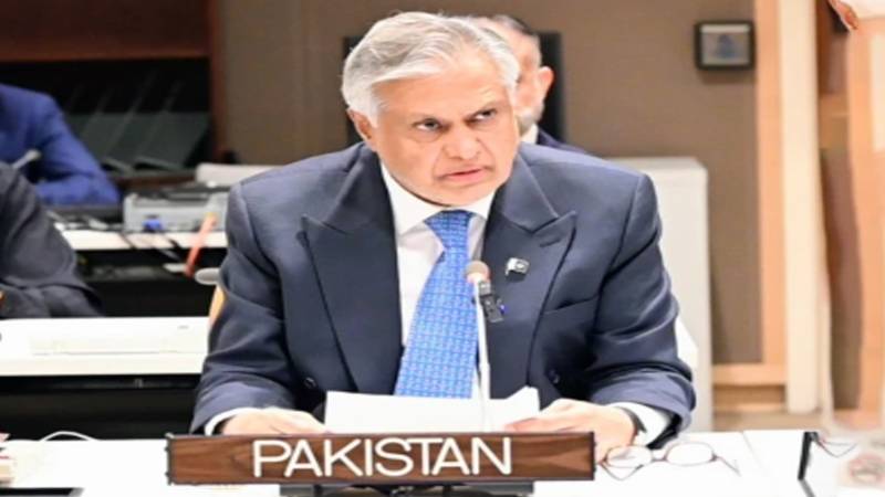 اسرائیل کی غیرقانونی آبادکاری فلسطینی ریاست کے قیام کیلیے بڑا خطرہ ہے، وزیرِخارجہ محمد اسحاق ڈار 